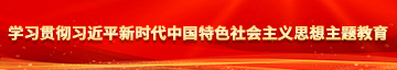 操小丽的逼逼学习贯彻习近平新时代中国特色社会主义思想主题教育