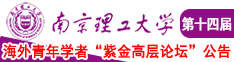 好屌日美女南京理工大学第十四届海外青年学者紫金论坛诚邀海内外英才！